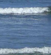 wave