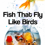 Fish That Fly Like Birds