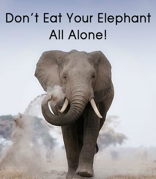 Don’t Eat Your Elephant All Alone!